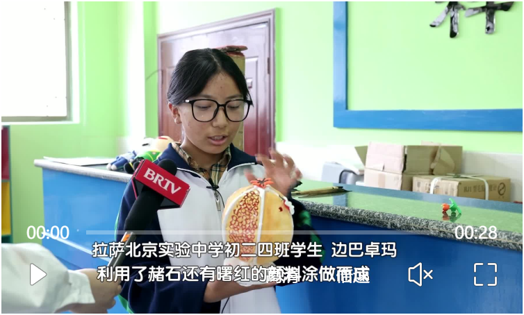 藏族學生自制3D打印石榴燈 聽了寓意想“淚目”